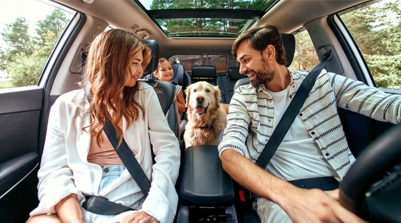 Todo Riesgo Coche 1440x800.gsimg_.800