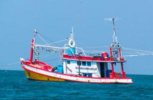 related-products-transporte10